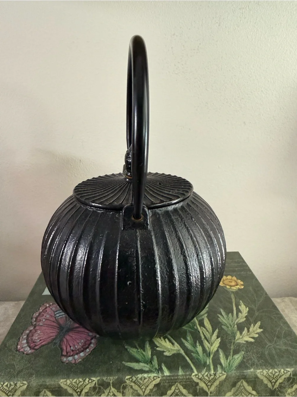 Black Cast Iron Ribbed Teapot with Handle